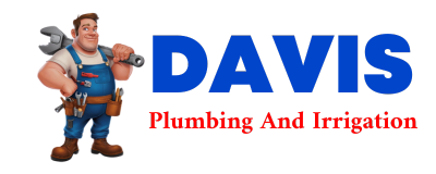 Trusted plumber in RED LION